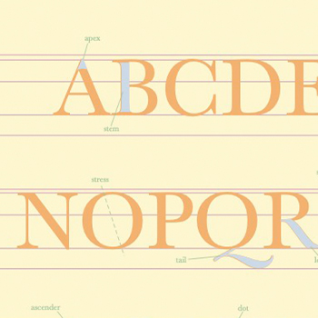 Typography